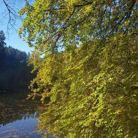 Διαμέρισμα In Dem Schoenen Kurort Bad Dürkheim
