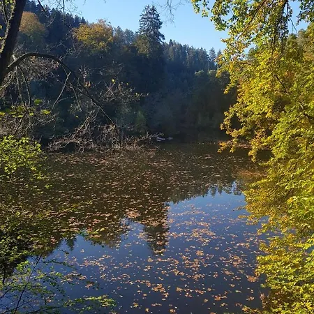 Daire In Dem Schoenen Kurort Bad Dürkheim
