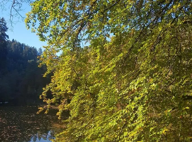Daire In Dem Schoenen Kurort Bad Dürkheim