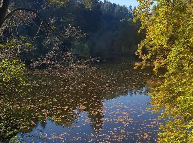 Daire In Dem Schoenen Kurort Bad Dürkheim